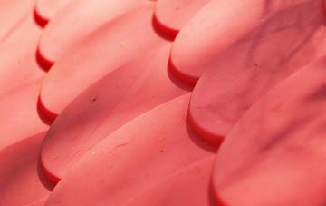 Shoresdean plastic roof costs