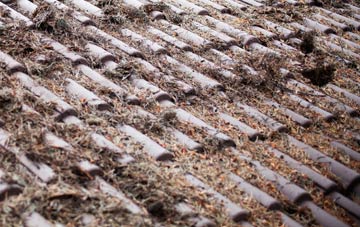 Shoresdean roof cleaning companies