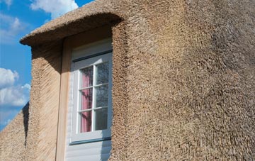Shoresdean thatch roof disadvantages