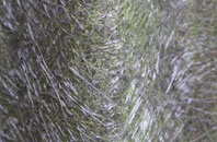 Shoresdean fibreglass roof work